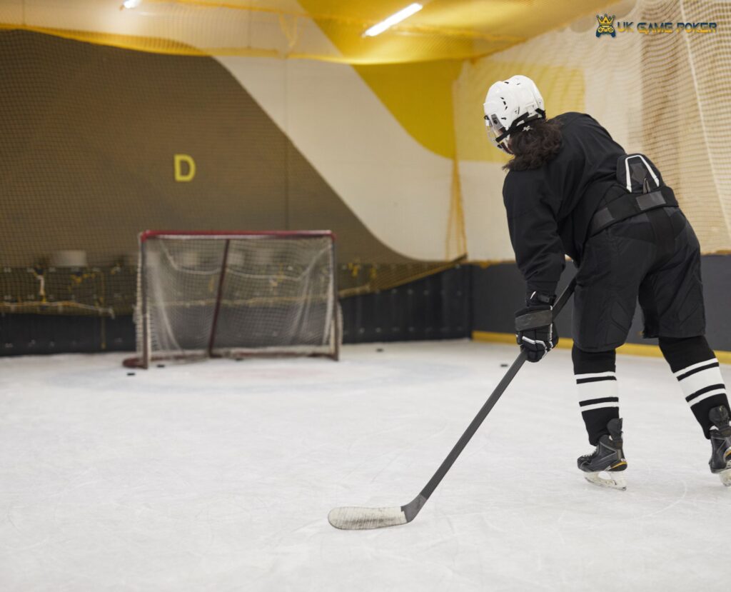 deux-rives dauphins bantam hockey
