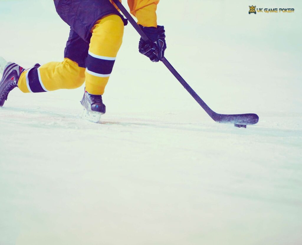 deux-rives dauphins bantam hockey