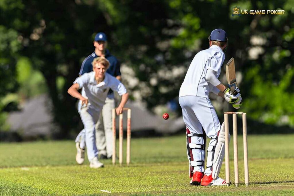 dream cricket drona sports