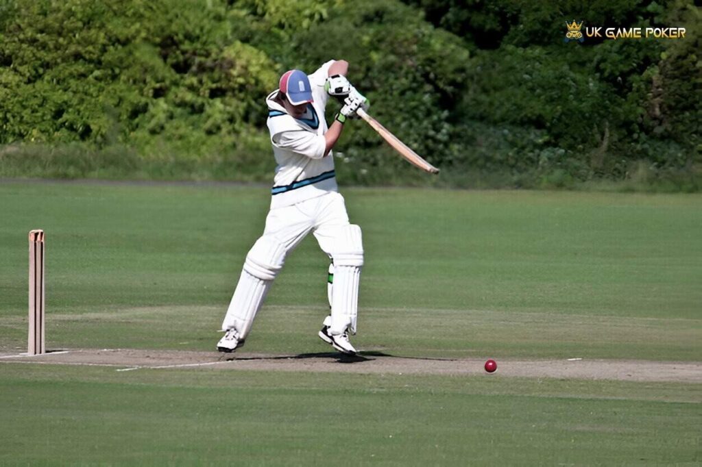 cricket sport near me