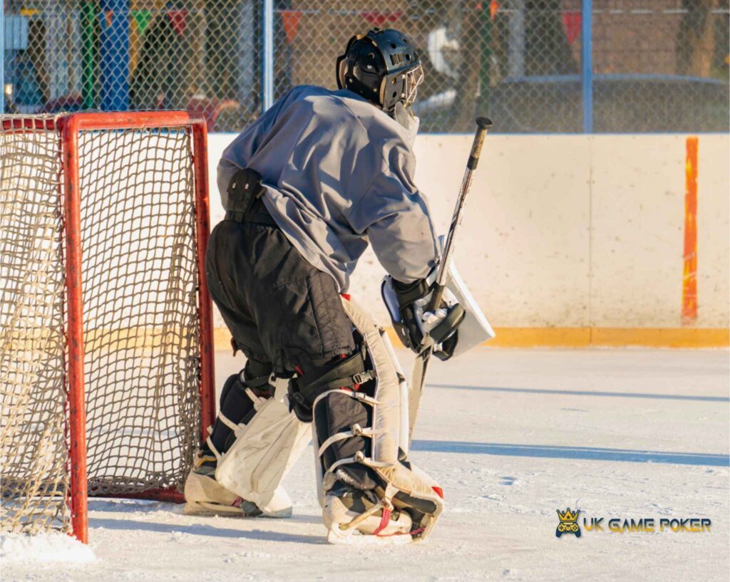 deux-rives dauphins bantam hockey