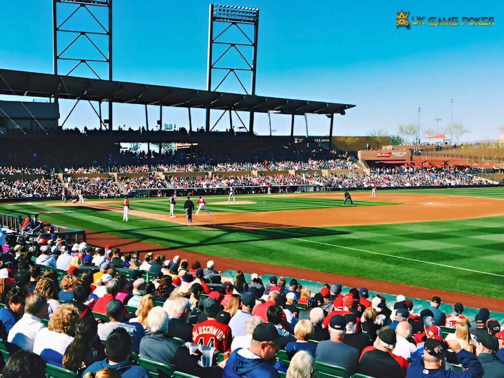 saddleback new baseball field