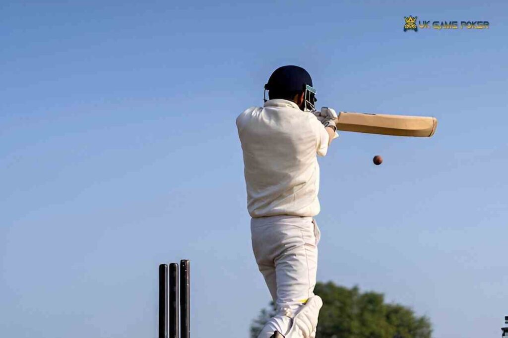 dream cricket drona sports