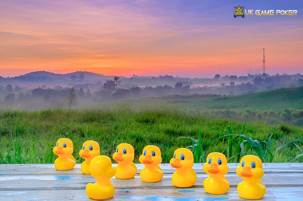How Can I Watch the Oregon Duck Game Online